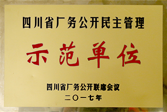 四川省厂务公开民族管理示范单位